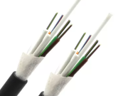 ADSS Cable Purchasing Guide: How to Choose Anti-Rodent Optical Cables?