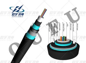 gyxtw53 2-24 core DJDA steel tape armored outdoor duct outdoor fiber cable